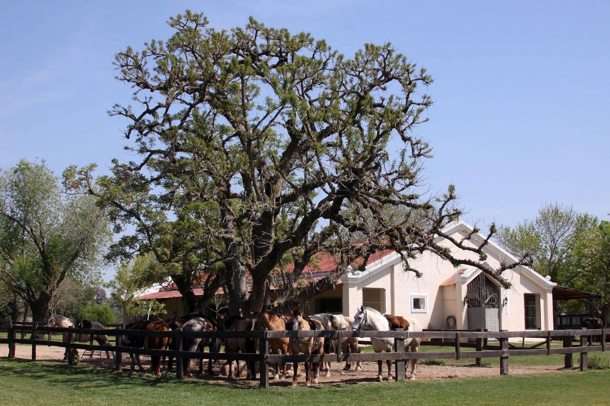 Estancia El Ombu De Areco San Antonio de Areco Exterior photo